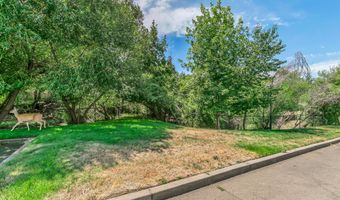 411 N Mountain Ave, Ashland, OR 97520