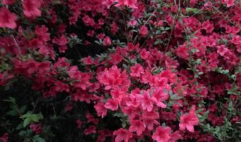 4728 PITTS Ave, Anniston, AL 36206