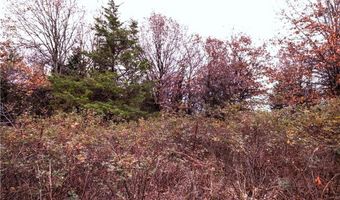 Tract 4 Acme RD, Asher, OK 74826