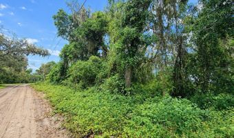 Tbd NE 52ND COURT, Anthony, FL 32617