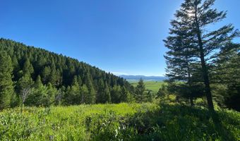 400 GROVER DRY FARM Rd, Afton, WY 83110