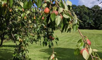 15900 28 Mile Rd, Albion, MI 49224