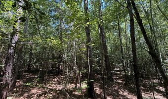 0 Five Notch Rd, Bradley, SC 29848