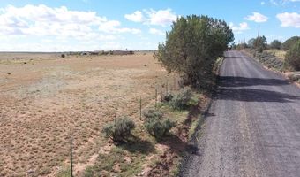 421 S Coyote Rd, Apple Valley, UT 84737