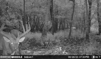 Gun Baoyu Road, Belzoni, MS 39038