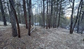 Bobcat Circle, Beatty, OR 97621