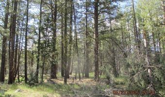 0 Golden Eagle Dr 5, Bonanza, OR 97623
