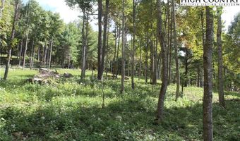 Lot V83 Eagles Nest, Banner Elk, NC 28604