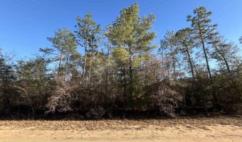 Goreville Avenue, Alford, FL 32420