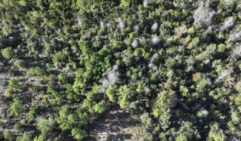 Pisgah Court, Alford, FL 32420