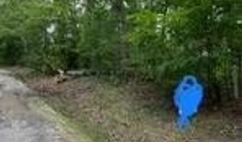 Tract 4 CR 125, Bruce, MS 38915