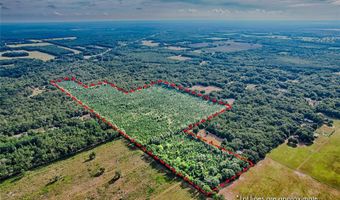 SW 120 Avenue, Archer, FL 32618