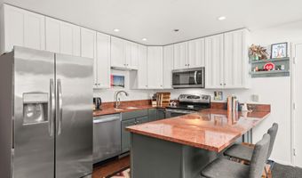 326 Midland Ave 308, Aspen, CO 81611