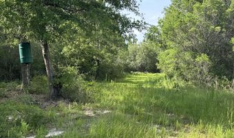 80 AC Old River Rd, Baker, FL 32531