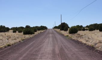 36 County Road 8249, Concho, AZ 85924