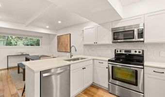 814 W Bleeker St B2, Aspen, CO 81611