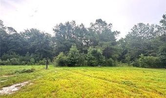26354 C. JENKINS Rd, Angie, LA 70426