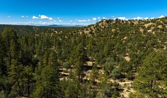 Canoncito Lane Turley Mill Lot 7, Arroyo Hondo, NM 87513