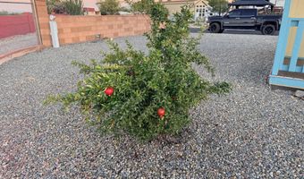 1030 S Barrel Cactus Rdg 255, Benson, AZ 85602