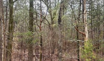 Lot 3 Great Falls Highway, Chester, SC 29706