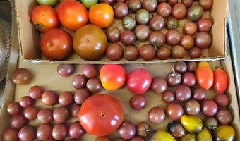 4775 S 50th Rd, Aldrich, MO 65601