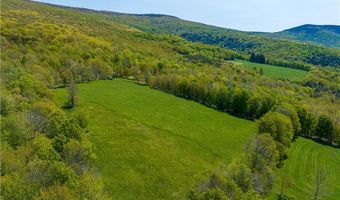 14 Armstrong Rd, Arkville, NY 12406