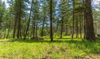 510 Swan Hill Rd, Bigfork, MT 59911