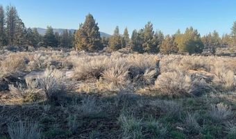 46038 Deer Springs Rd Lot 4, Beatty, OR 97621