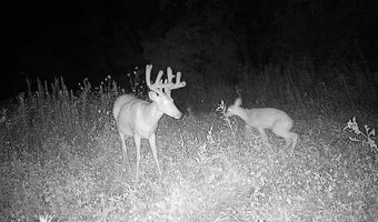 Simons Rd, Alma, WI 54610