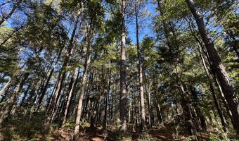 0 Bar M Farm Rd, Andalusia, AL 36421