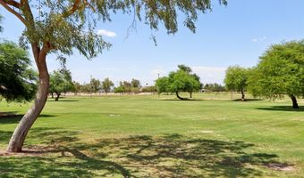 1850 E Oakland St, Chandler, AZ 85225