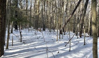 Lot 80-1 Currier Road, Candia, NH 03034
