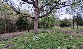 23774 Farm Road 2085, Aurora, MO 65605