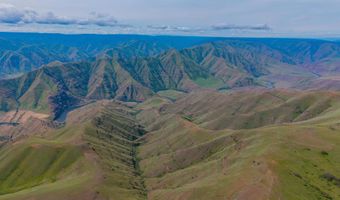 NKA Montgomery Ridge Road, Asotin, WA 99402