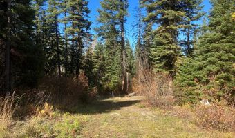 541 W Mountain Rd Lot 58, Cascade, ID 83611