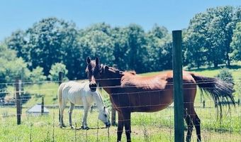 7015 Gamble Rd, Birchwood, TN 37308