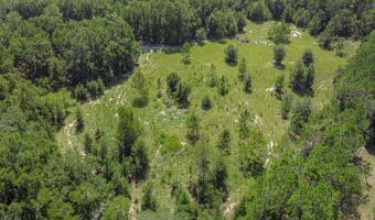 3749 SW 22nd Pl, Bell, FL 32619