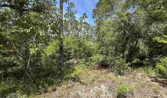 Xxx Holly Springs Avenue, Alford, FL 32420