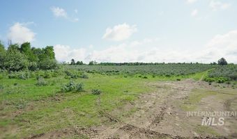 1555 Sadorus Hill Rd, Ashton, ID 83420