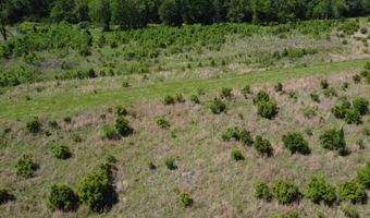 Green Road, Arnaudville, LA 70512