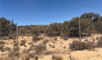 90002 Wellman, Anza, CA 92539