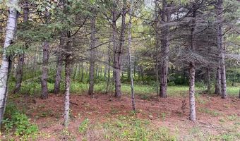 Owl Ave, Aitkin, MN 56431