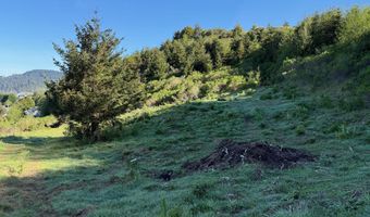Dale CT 2, Brookings, OR 97415