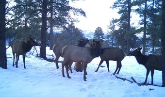 20861 Hwy 160, Bayfield, CO 81122