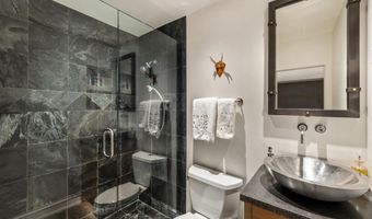 153 W Lupine Dr, Aspen, CO 81611