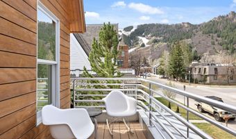 204 N Monarch St, Aspen, CO 81611