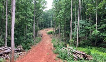 230 Harmony Vly, Alto, GA 30510