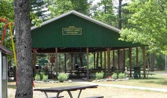 S Forest Lake, Alger, MI 48610