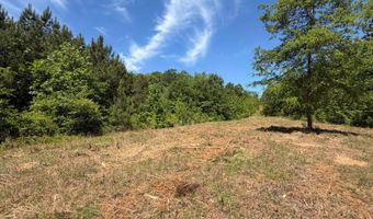 County Road 38, Autaugaville, AL 36003