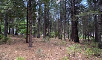 1964 Belmont Way, Arnold, CA 95223